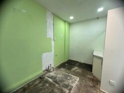 Bras Basah Complex (D7), Shop House #626347891